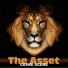 The Asset
