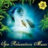 Spa Relaxation Music feat. Adham Shaikh