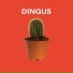 Dingus