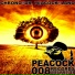 Dr. Peacock Chrono