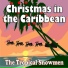 The Tropical Snowmen