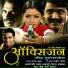 Vaishali Sawant, Anand Shinde