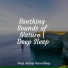 Sleepy Times, Massage Music, Shakuhachi Sakano