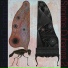 Sonidos Cubanos, Perry R. Cook, Matthew Meadows