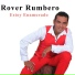 Rover Rumbero