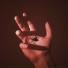 spider$ense