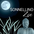 Insonnia Maestro
