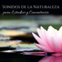Naturaleza Ensemble