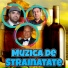 Viorel Puia, Hariton Bunget, Rudy de la Valcea