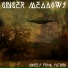 Ginger Meadows