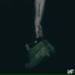 NF