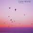 Calm Crew