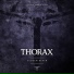 Thorax