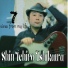 Shin Ichiro Ishikawa