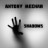 Antony Meehan