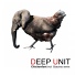 Deep Unit