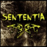 The Sektorz