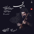 Seyed Mojtaba Hoseini