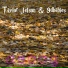 Taylor Jetson, 9dbabies