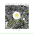 Imperfect Machines