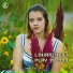 Laura Heily