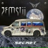 Zemstii