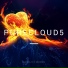 Purecloud5