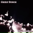 Grizly Bunch