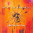 Split Lip Rayfield