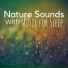 Liquid Sleep Music Club