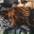 Dog Music, Dog Music Club, Music For Dogs Peace