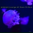 Lounge Music Tribe