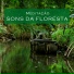 Meditação Música Ambiente