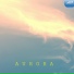 A19