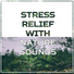 Sounds of Nature Relaxation