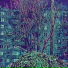 Coldlow