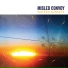 Misled Convoy