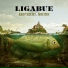 Ligabue