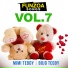 Bojo Teddy