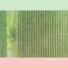 farmerpuzzies