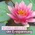 Entspannungsmusik Universe