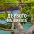 Виктория Лазарова
