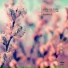 Smotra Rybinsk playlist
