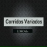 LOKO dls