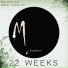 22 weeks