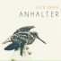 Jack Snipe