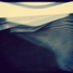 Dolphin X
