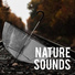 Nature Sounds Nature Music