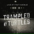 Trampled by Turtles