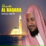 Idress Abkr